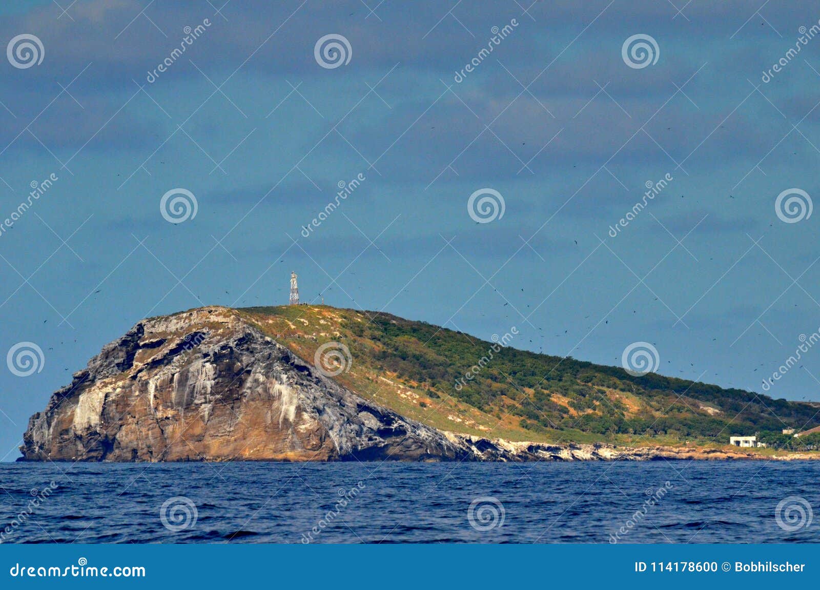 isla isabel off mexicoÃ¢â¬â¢s riviera nayarit coast.